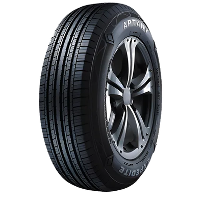 NEUMATICO 205/65R16 107/105T RL106Y Aptany 8PR Ltr BLK CHN